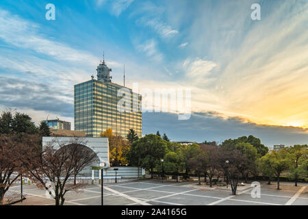 Vue de la place de l'événement Parc Yoyogi à Tokyo. Banque D'Images