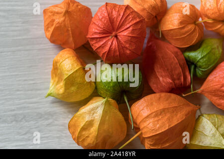 Les enveloppes de fruits de la lanterne chinoise Banque D'Images