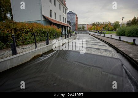 Un flux est vu sur l'Île Mill à Bydgoszcz, Pologne le 9 octobre 2019. Banque D'Images