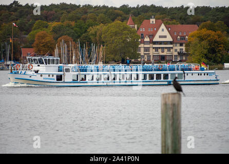 09 octobre 2019, Berlin : l'excursion navire 'Lichtenberg' de Stern und Kreisschiffahrt traverse Wannsee avec seulement quelques passagers. Photo : Monika Skolimowska/dpa-Zentralbild/ZB Banque D'Images