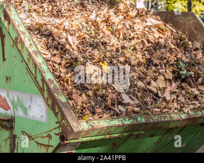 Récipient avec des déchets de jardin à l'automne Banque D'Images