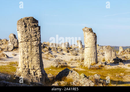 Phénomène naturel Pobiti Kamani, rock, Aksakovo Municipalité, district de Varna, Bulgarie. En fin d'après-midi.focus sélectif avec une faible profondeur de f Banque D'Images