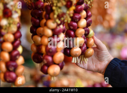 Weimar, Allemagne. Oct 11, 2019. Tresses d'oignon accrocher sur un stand au marché de l'oignon. Marché de Weimar 366E À la vente 500 Zwiebelmarkt et plusieurs étapes dans le centre-ville offrent des divertissements, autour de 60 stands ont été mis en place par les agriculteurs de l'oignon. L'année dernière, le festival a attiré environ 360 000 visiteurs. Crédit : Martin Schutt/dpa-Zentralbild/dpa/Alamy Live News Banque D'Images