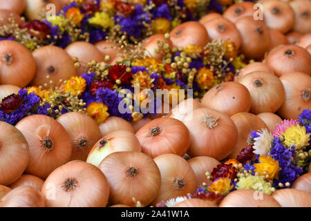 Weimar, Allemagne. Oct 11, 2019. Tresses d'oignon se situent à une échoppe de marché sur le marché de l'oignon de Weimar 366e. À la vente 500 Zwiebelmarkt et plusieurs étapes dans le centre-ville offrent des divertissements, autour de 60 stands ont été mis en place par les agriculteurs de l'oignon. L'année dernière, le festival a attiré environ 360 000 visiteurs. Crédit : Martin Schutt/dpa-Zentralbild/dpa/Alamy Live News Banque D'Images