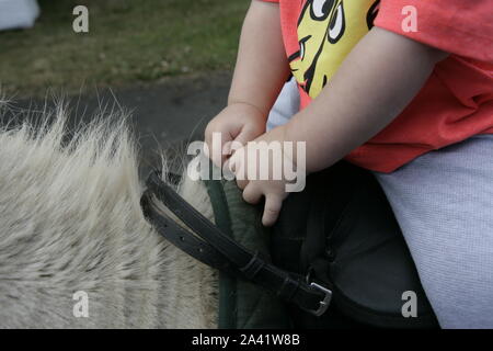 Les jeunes de l'enfant tout-petit leçon sur le cheval, se tenant à la poignée de selle Banque D'Images