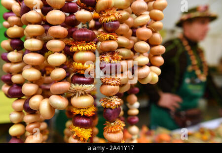 Weimar, Allemagne. Oct 11, 2019. Tresses d'oignon accrocher sur un stand au marché de l'oignon. Marché de Weimar 366E À la vente 500 Zwiebelmarkt et plusieurs étapes dans le centre-ville offrent des divertissements, autour de 60 stands ont été mis en place par les agriculteurs de l'oignon. L'année dernière, le festival a attiré environ 360 000 visiteurs. Crédit : Martin Schutt/dpa-Zentralbild/dpa/Alamy Live News Banque D'Images