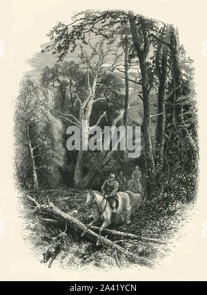 'Cedar à pied, Virginia Water', c1870. À partir de "l'Europe pittoresque - Les îles Britanniques, Tome I". [Cassell, Petter &AMP ; Galpin, Londres, c1870] Banque D'Images