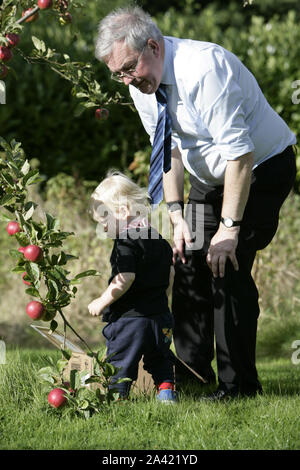 Aider grand-père petit-fils Harvest Apples in Orchard Banque D'Images