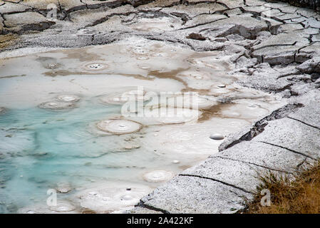 Boue Hot spring artistes à painpots dans Yellowstone géothermique Banque D'Images