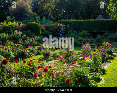 Chenies Manor jardin en contrebas sur un après-midi de septembre.Faible du soleil améliore les couleurs des variétés de dahlia lumineux et pelouse verte. Banque D'Images