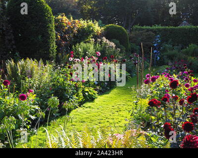 Chenies Manor jardin en contrebas sur un après-midi de septembre.Faible du soleil améliore les couleurs des variétés de dahlia lumineux et pelouse verte. Banque D'Images