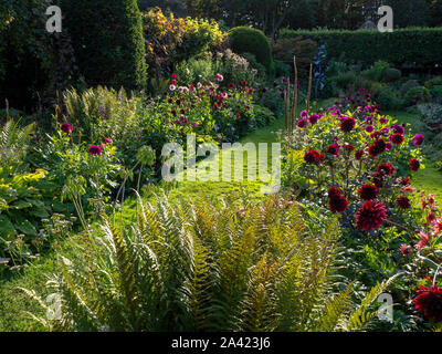 Le jardin en contrebas à Chenies, Buckinghamshire sur une soirée ensoleillée en septembre;fougères rétroéclairé et variétés de dahlia colorés le long d'un chemin herbeux lumineux. Banque D'Images