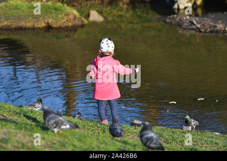 Girl rss les oiseaux sur le lac. Petite fille rss cascades sur un petit lac. Coast in autumn park Banque D'Images