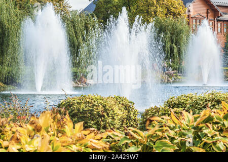 Un fragment de l'automne dans le parc Mezhyhirya près de Kiev, Ukraine, fontaines sur le lac. Paysages de la nature avec la lumière du soleil. Banque D'Images