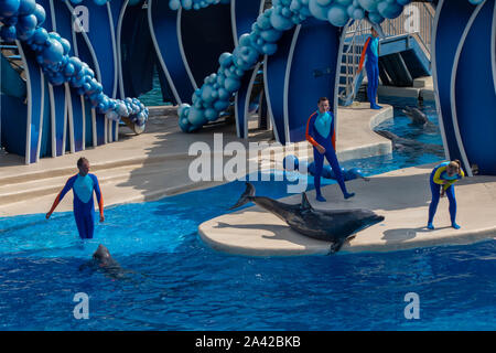 Orlando, Floride. Le 30 septembre 2019. Dolphin Nice poser hors de l'eau at Seaworld Banque D'Images