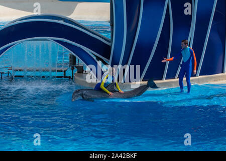 Orlando, Floride. Le 30 septembre 2019. Dolphin Nice poser hors de l'eau at Seaworld Banque D'Images