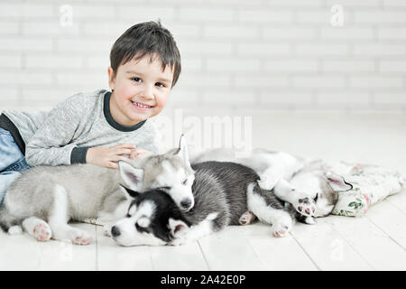 Cute little boy et trois jeunes chiots husky dormir sur un fond blanc Banque D'Images