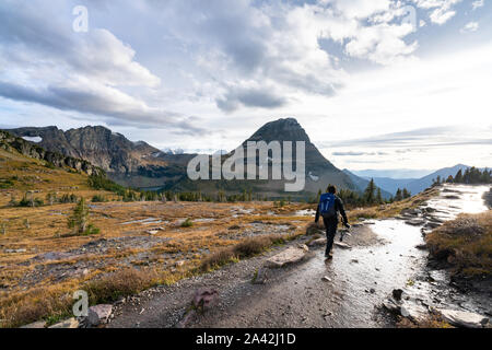 Un jeune homme marche sur le chemin à Logan Pass avec l'incroyable montagne en arrière-plan, Glacier Park, Montana. Banque D'Images