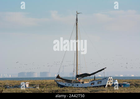 Un grand troupeau de migration des oiseaux sauvages voler derrière bateaux amarrés à Southend-on-Sea dans l'arrière-plan, vue de Leigh-On-mer. Banque D'Images