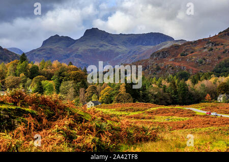 Lake Road,village elterwater valley,parc national de lake District, Cumbria, England, UK go Banque D'Images