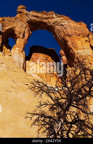 Grosvenor Arch sur Cottonwood Canyon Road, Grand Staircase Escalante National Monument (Utah). Banque D'Images