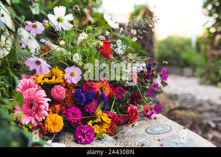 A Flowers in garden Banque D'Images