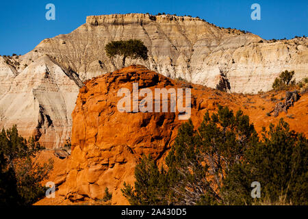 Lone Tree sur rock formation, parc d'état de Kodachrome, UT Banque D'Images