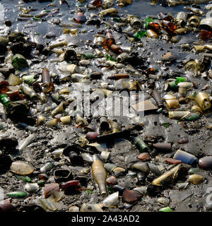 Des bouteilles lavées, à la plage à cheval mort Bay, plage de bouteille en verre, l'île aride, Jamaica Bay de la passerelle de l'unité National Recreation Area. Brooklyn. Banque D'Images