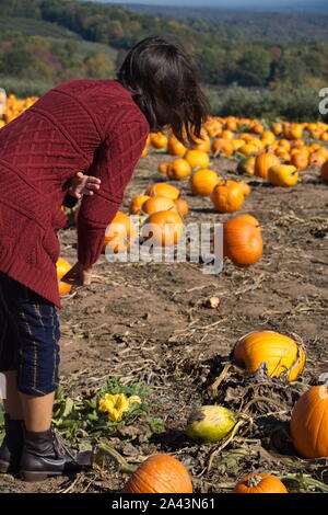 2229, TC / USA - 19 octobre 2017 : Jeune femme regarde une citrouille Banque D'Images