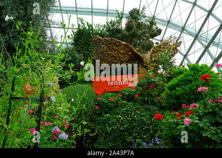 Août 2019 SINGAPOUR -25- voir des fleurs et des plantes à l'intérieur du dôme de fleurs aux jardins-by-the-Bay serre à Singapour. Banque D'Images