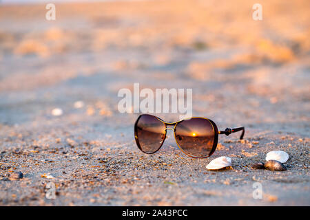 Lunettes de soleil et les coquillages se coucher sur le sable humide. Le soleil se reflétant dans les verres. Close-up, lever tôt le matin Banque D'Images