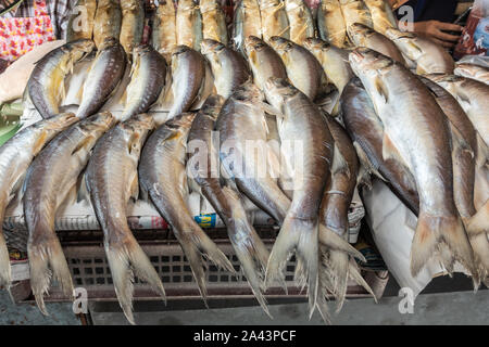 Chon Buri, Thaïlande - Mars 16, 2019 : Nong Mon marché. Gros plan du gros tas de poissons long gris-blanc sur l'affichage au stand. Banque D'Images