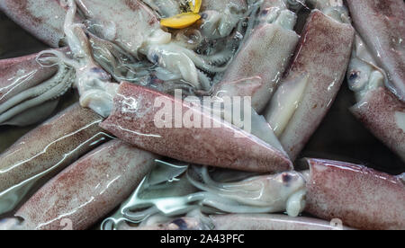 Chon Buri, Thaïlande - Mars 16, 2019 : Nong Mon marché. Gros plan du bassin avec de couleur marron-blanc calmars dans différentes tailles. Banque D'Images