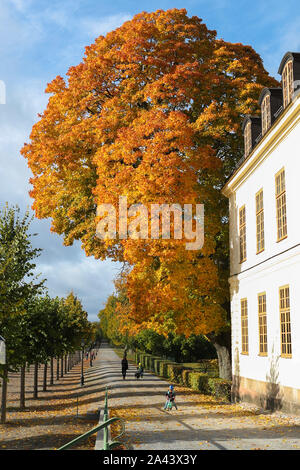 Stockholm, Suède. Oct 11, 2019. Les touristes visiter le jardin baroque du Château de Drottningholm en Suède, comté de Stockholm, le 11 octobre 2019. Credit : Zheng Huansong/Xinhua/Alamy Live News Banque D'Images