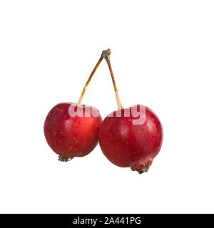 Petit paradis apples isolated on white Banque D'Images