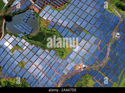 Tableaux de panneaux solaires sont installés à la friche sur une colline dans le village Huangsha, Zhuangkou ville, comté de Huichang, Ganzhou ville, est de la Chine Banque D'Images