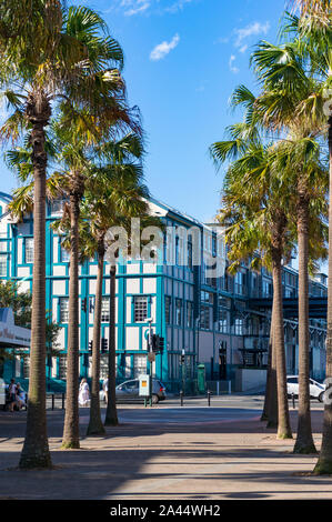 Sydney, Australie - Novembre 13, 2016 : l'architecture historique de Woolloomooloo, vu de la rue Forbes avec des palmiers sur les deux côtés Banque D'Images