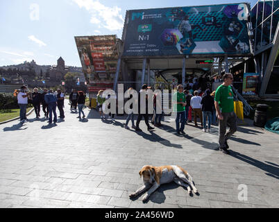 République d'Irlande fans à Tbilissi. Banque D'Images