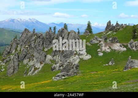 Paysage de la 'forêt' de granit sur le pâturage à Burqin county, Altay, préfecture du nord-ouest de la Chine La région autonome du Xinjiang Uygur, 26 juin 2 Banque D'Images