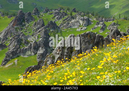 Paysage de la 'forêt' de granit sur le pâturage à Burqin county, Altay, préfecture du nord-ouest de la Chine La région autonome du Xinjiang Uygur, 26 juin 2 Banque D'Images