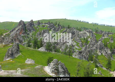 Paysage de la 'forêt' de granit sur le pâturage à Burqin county, Altay, préfecture du nord-ouest de la Chine La région autonome du Xinjiang Uygur, 26 juin 2 Banque D'Images