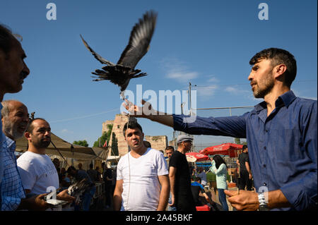 Les vendeurs de Pigeon au marché du Pigeon, Istanbul, Turquie Banque D'Images