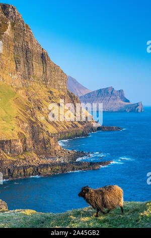 Gasadalur, Vagar et, îles Féroé, Danemark, Europe Banque D'Images