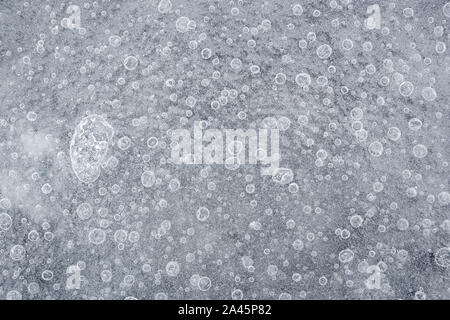 Close-up de bulles d'air dans la glace en hiver, vu du dessus. Résumé fond plein cadre en noir et blanc. Copier l'espace. Banque D'Images