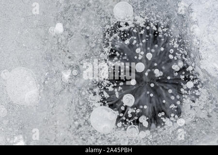 Close-up de bulles d'air dans la glace en hiver, vu du dessus. Résumé fond plein cadre en noir et blanc. Copier l'espace. Banque D'Images