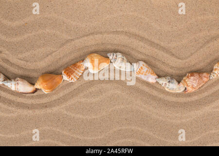 En ligne de coquillages qui zigzaguent sur les dunes. Vue d'en haut. Copier l'espace. Banque D'Images