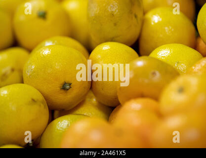 Rukla, la Lituanie. 10 Oct, 2019. Les mandarines et les oranges se situent dans une cantine sur le comptoir. Credit : Monika Skolimowska/dpa-Zentralbild/ZB/dpa/Alamy Live News Banque D'Images