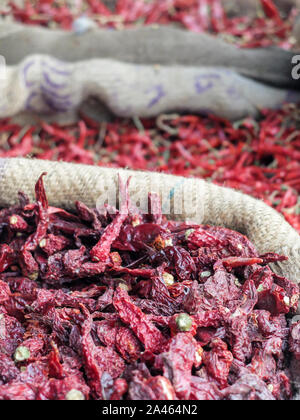 Les grands sacs en tissu plein de plantes de piment séché au soleil affichée à Devaraja market,Centre de Mysore, Karnataka. Banque D'Images