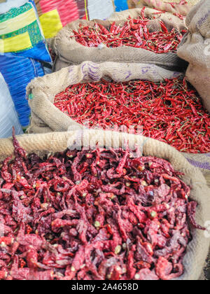 Les grands sacs en tissu plein de plantes de piment séché au soleil affichée à Devaraja market,Centre de Mysore, Karnataka. Banque D'Images