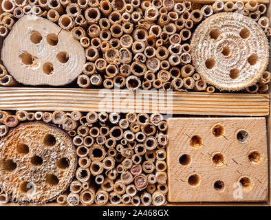 Hôtel pour insectes dans le jardin Banque D'Images